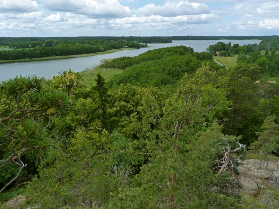 Utsikt från Vulfabacken
