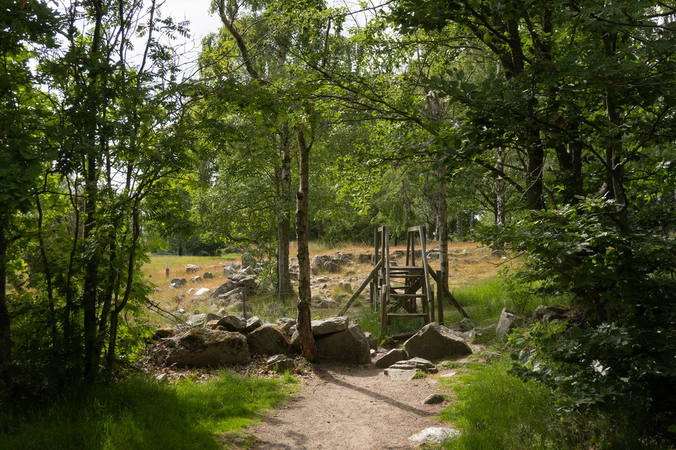 stätta över stängsel leder från skog till fäladsmark
