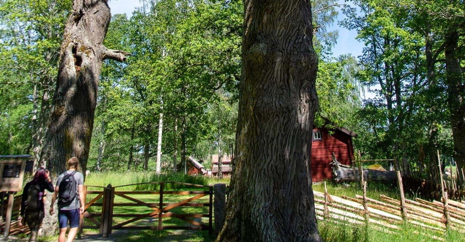 Etapp: Rängen Runt / Vidingsjö - Bjärka Säby Fornhemmet hembygdsgård Bjärka Säby
Linköping