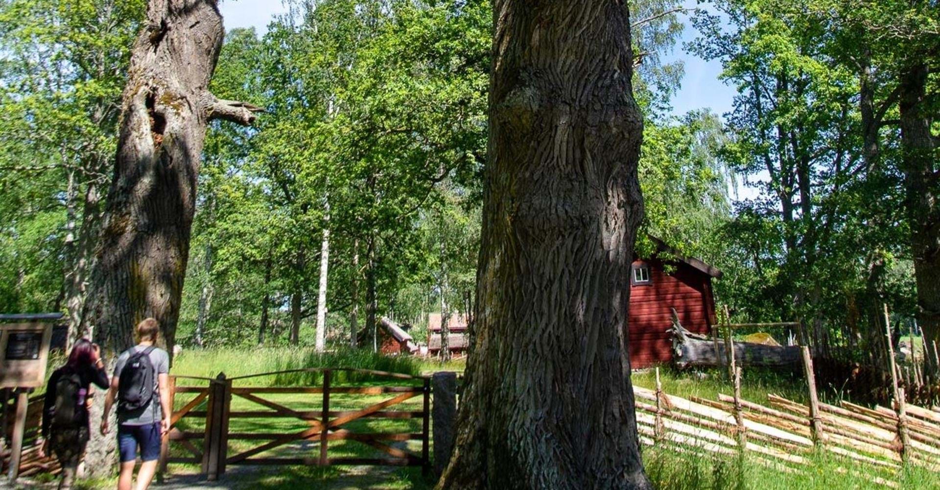 Bjärka Säby Fornhem och hjorthägn