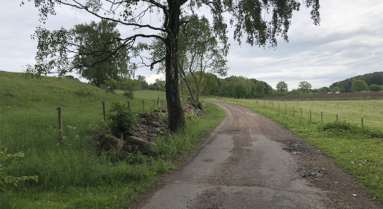 Axelstorpsslingan längs betesmark med gravhögar i söder (vänster).
