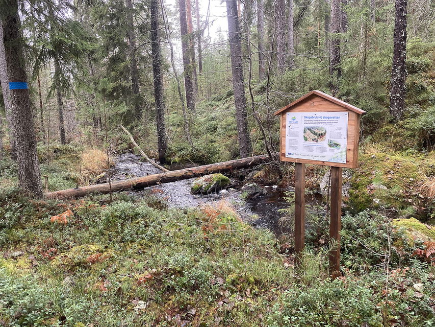 Informationstavla på ett träställ vid en smal bäck. Ett träd ligger som en bro över bäcken.