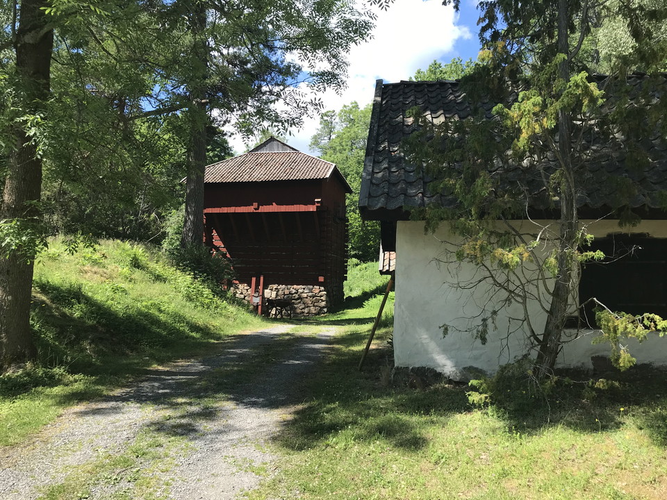 Miljö runt masugnen Trehörningen