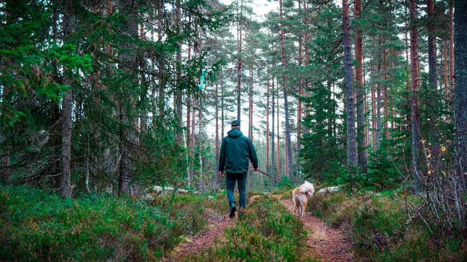Turkompisar på Helgonleden (en hund och en man)