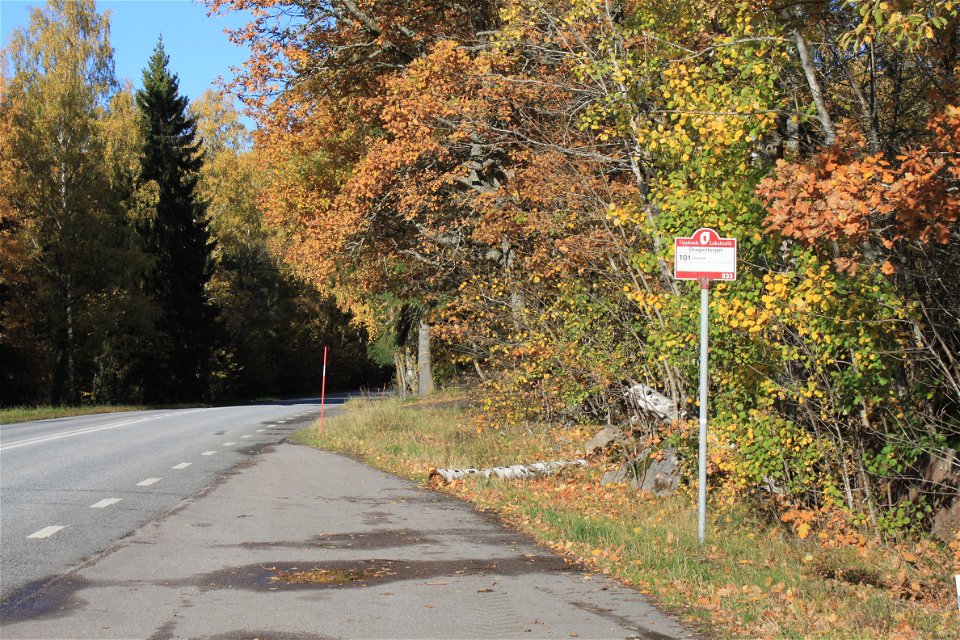 Längs en bilväg finns en parkeringsficka med skylt för busshållplats. Det är skog på båda sidor av vägen.