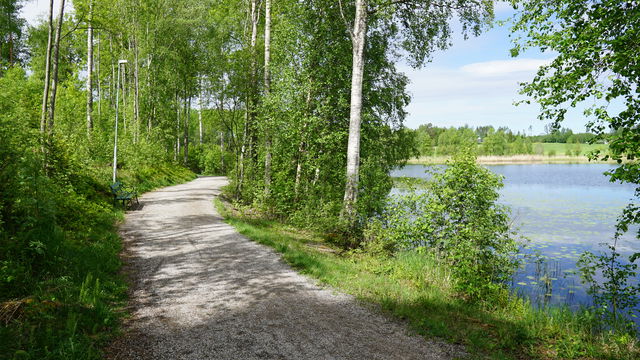 Friluftsliv på recept - Sticksjön grön