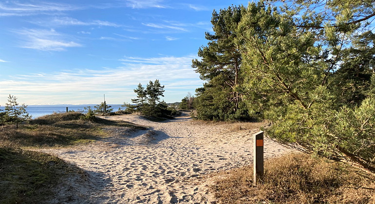 Skåneleden går genom reservatet.
