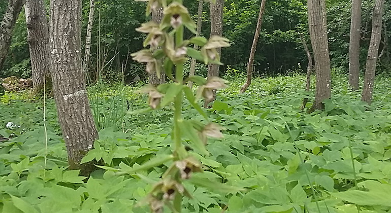 Fotograf: Daniel Cluer