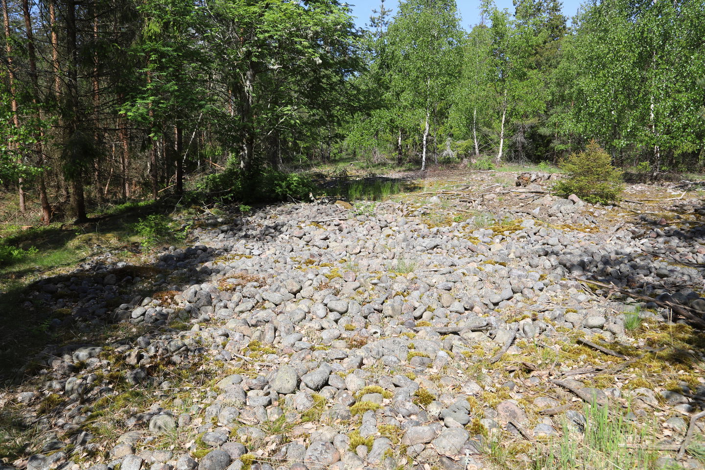Stenås