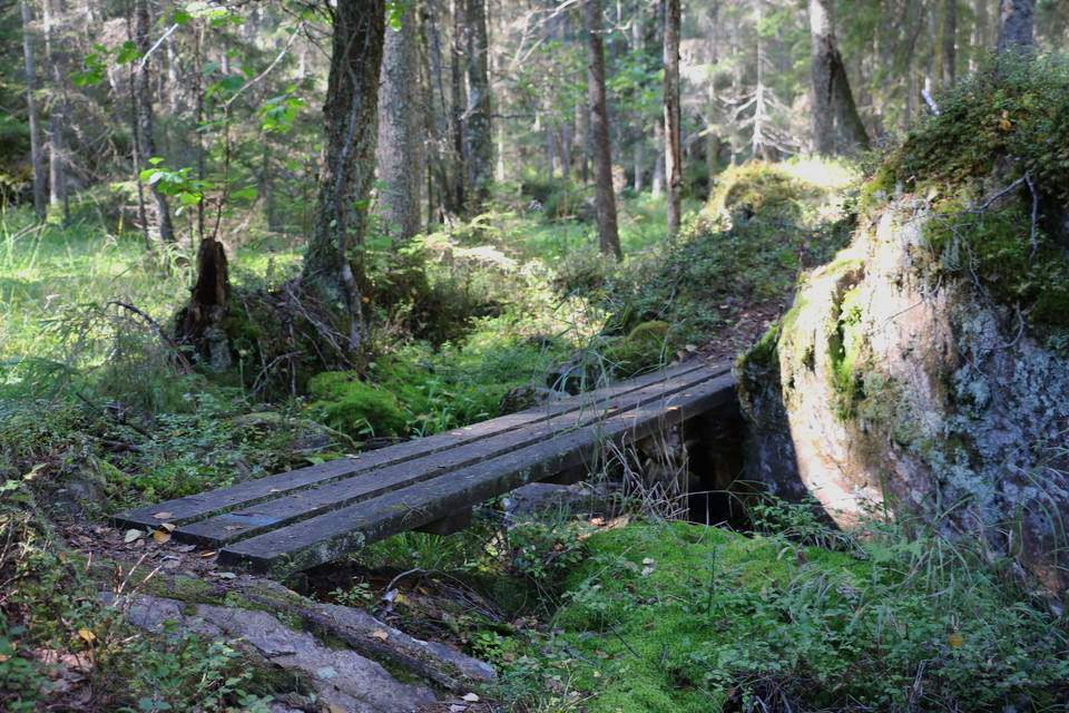 Spång över dike.