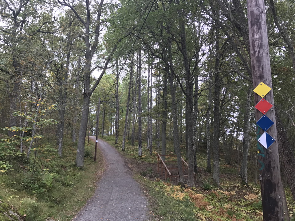 Motionsspår i Hackstaskogen