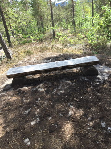 Södra Berget Tarzanstigen