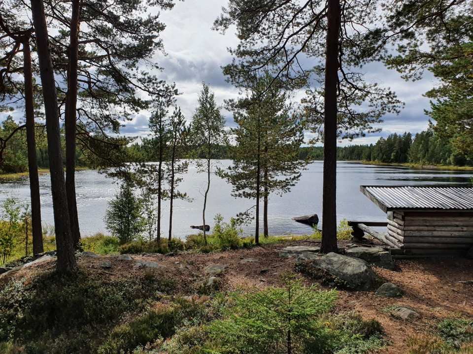 Vindskydd Stenstjärnet, Byamossarna