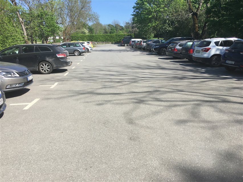 Många bilar står på en avlång asfalterad parkeringsplats. Runtom parkeringen finns flera träd.
