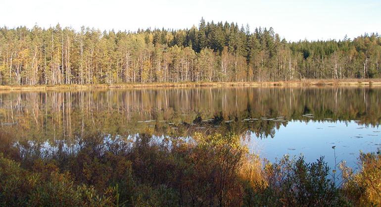 Ventärnen.
