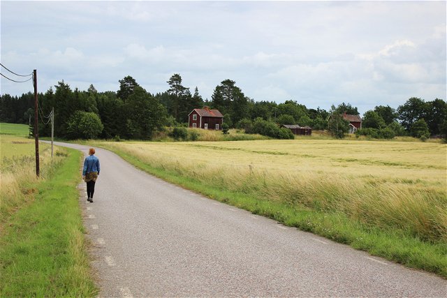 The Uppland Trail, section 28, 8 km