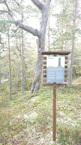 Södra Bergets naturstig 9 Torrakan