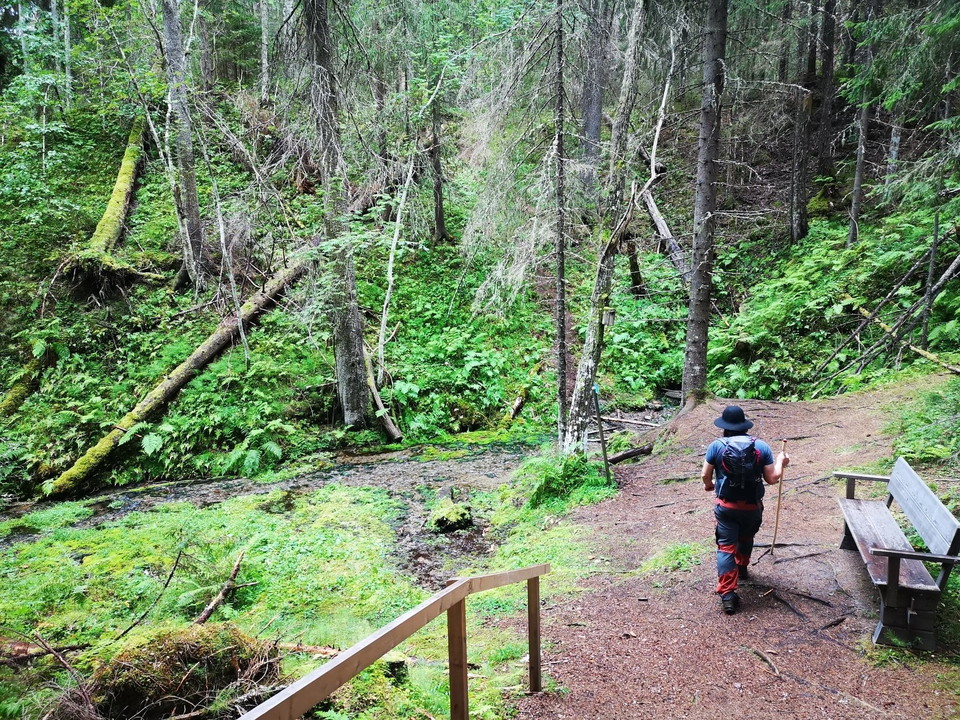 Gladbäckens Naturreservat