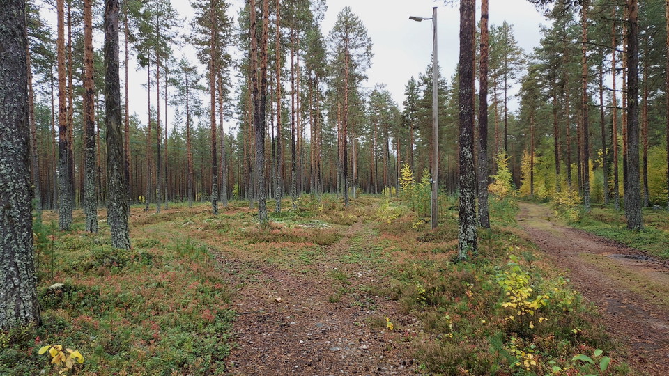 Kårböle Elljusspår