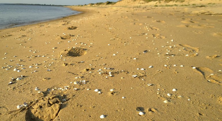 fotspår i sanden