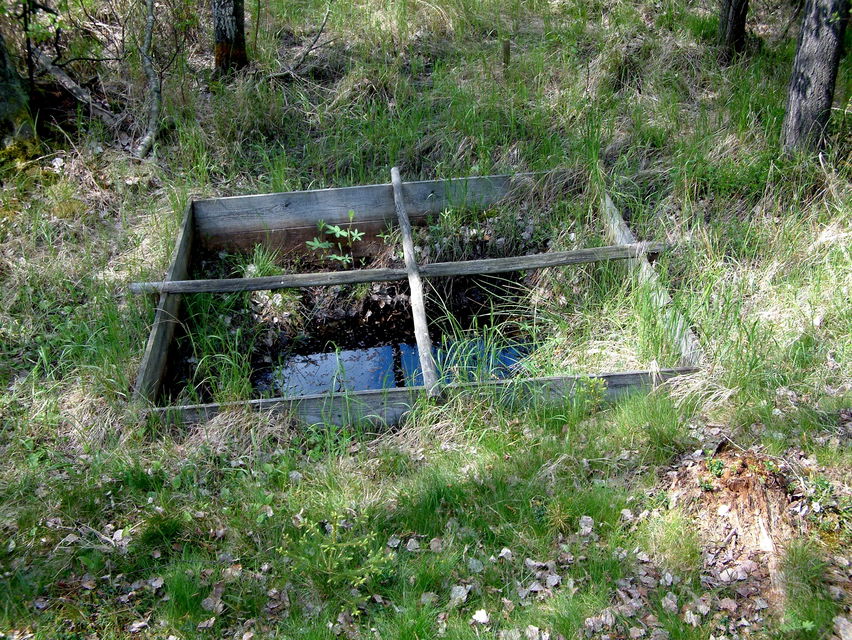 En källa, förstärkt med ett träkar, försåg sätesgården med friskt grundvatten (G. Knutsson 2008).