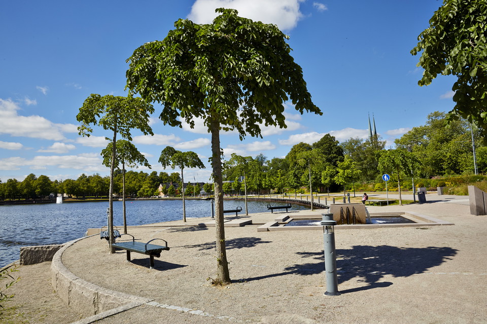Fotograf: Hans Runesson