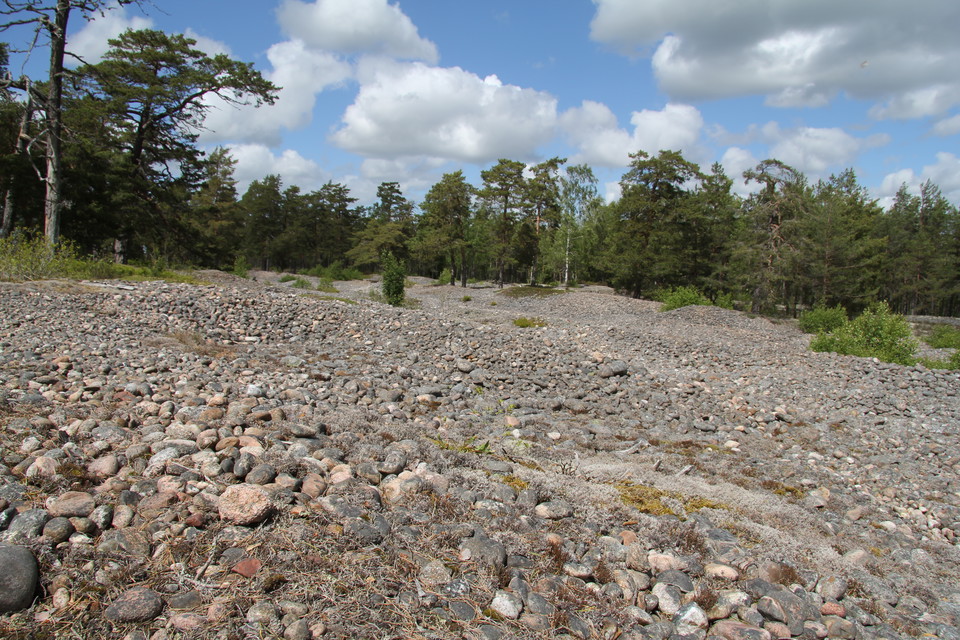 En matta av sten, ett såkallat klapperstensfält.