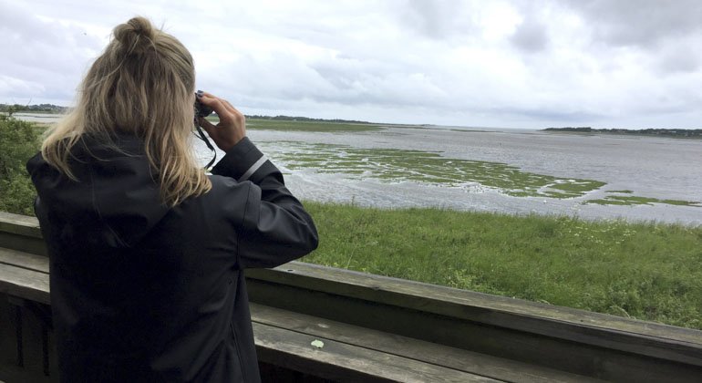 Kvinna står med kikare och kollar ut över våtmarkerna