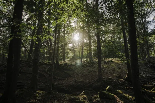 Strömby naturreservat