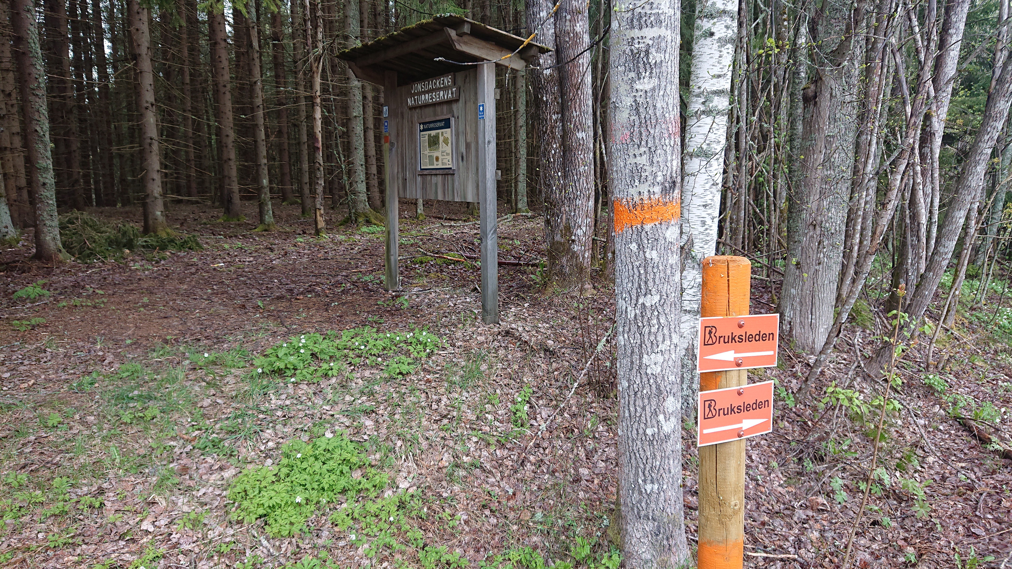 Jönsbackens Naturreservat