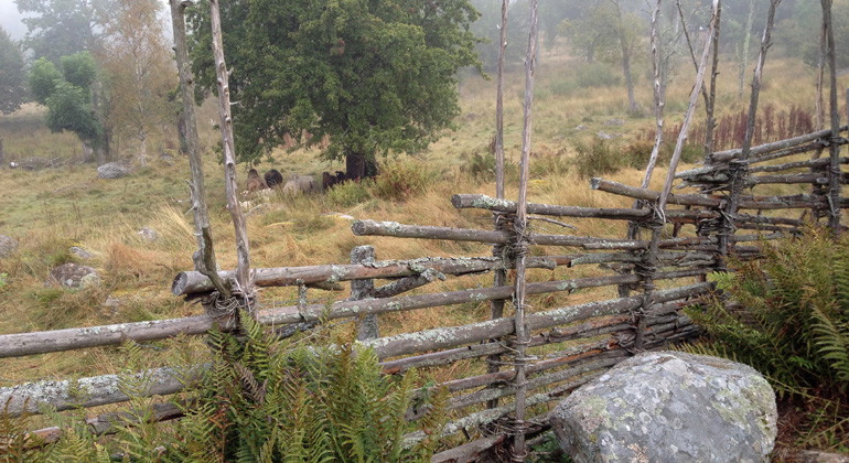 Trägärdsgård.