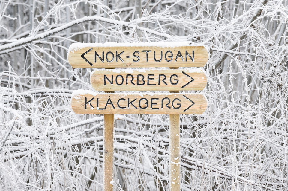 I Norberg finns Sveriges bästa skidspår