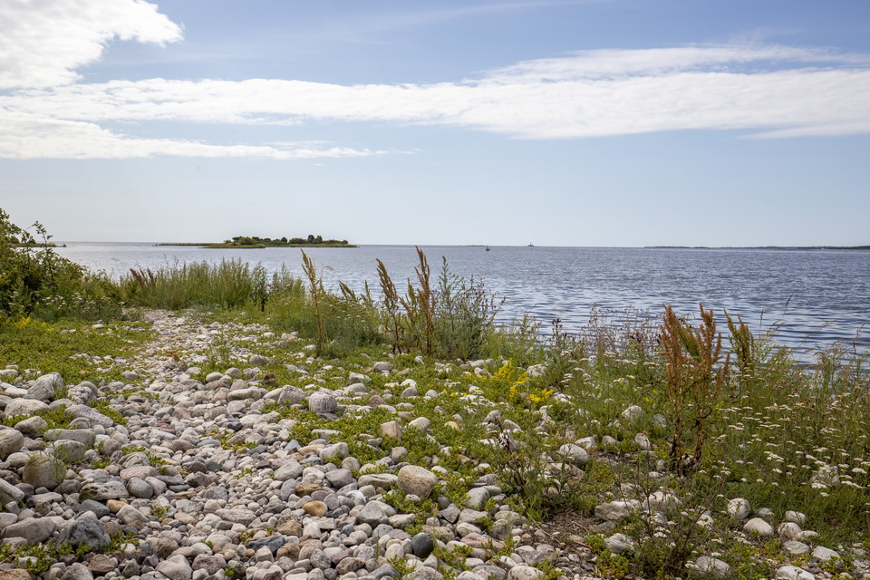 Stenstrand Örarevet