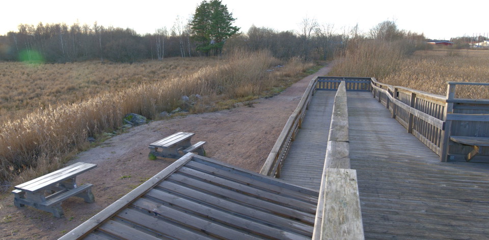 En ramp som leder upp till fågelstationen.