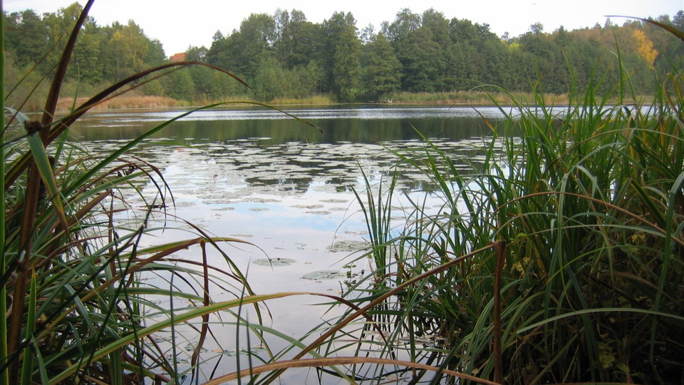 Stockbysjöns västra strand. Foto Lidingö stad