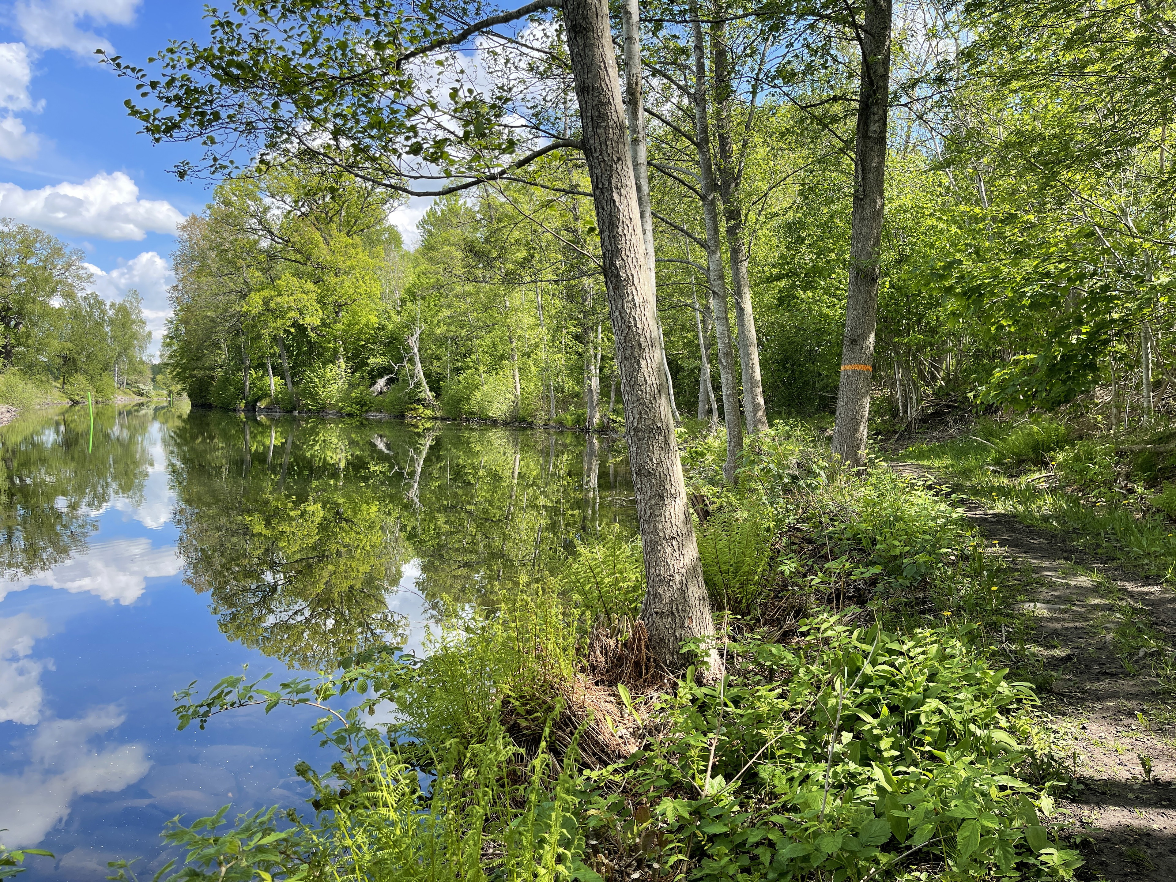 En kanal med vatten