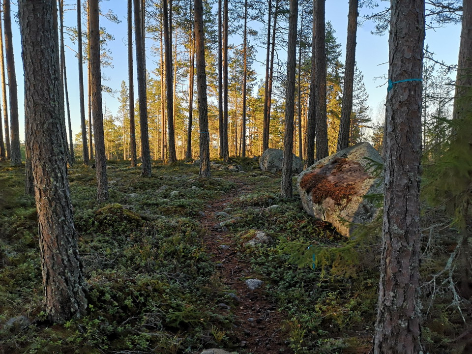 Moraberget