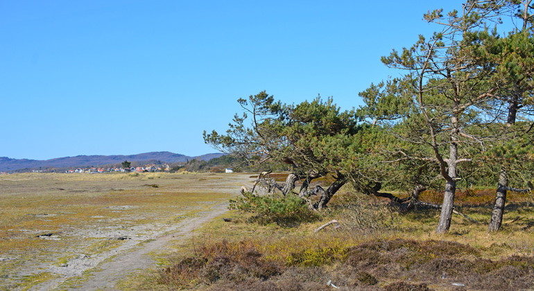 Kullaleden, del av Skåneleden