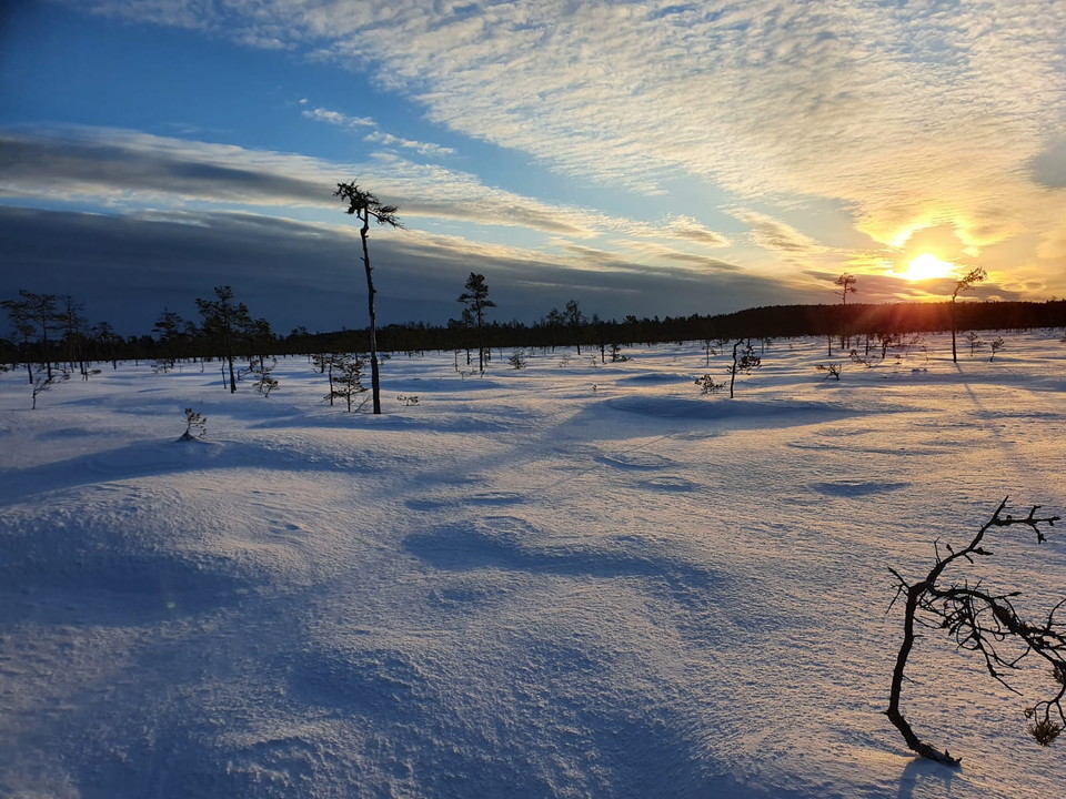 Stormyran i motjus
