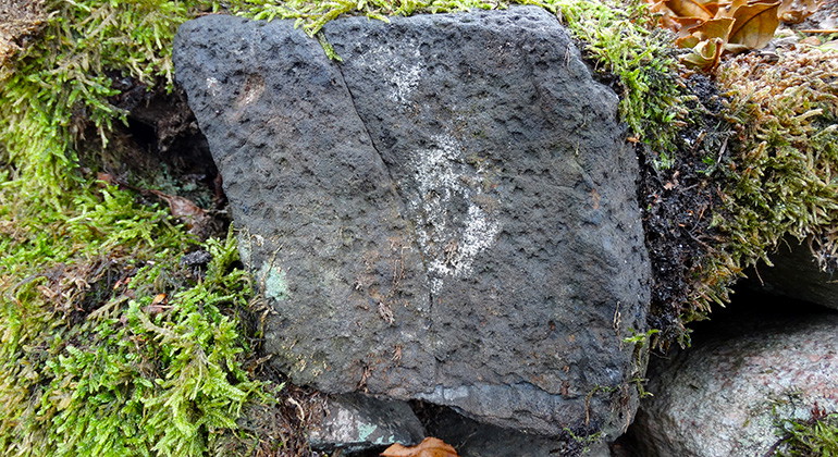 Basaltsten i stenmur.