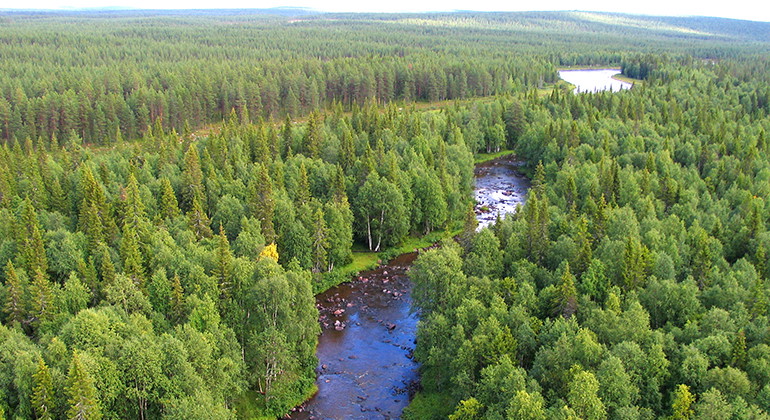 Flygbild över Kaipabäcken.