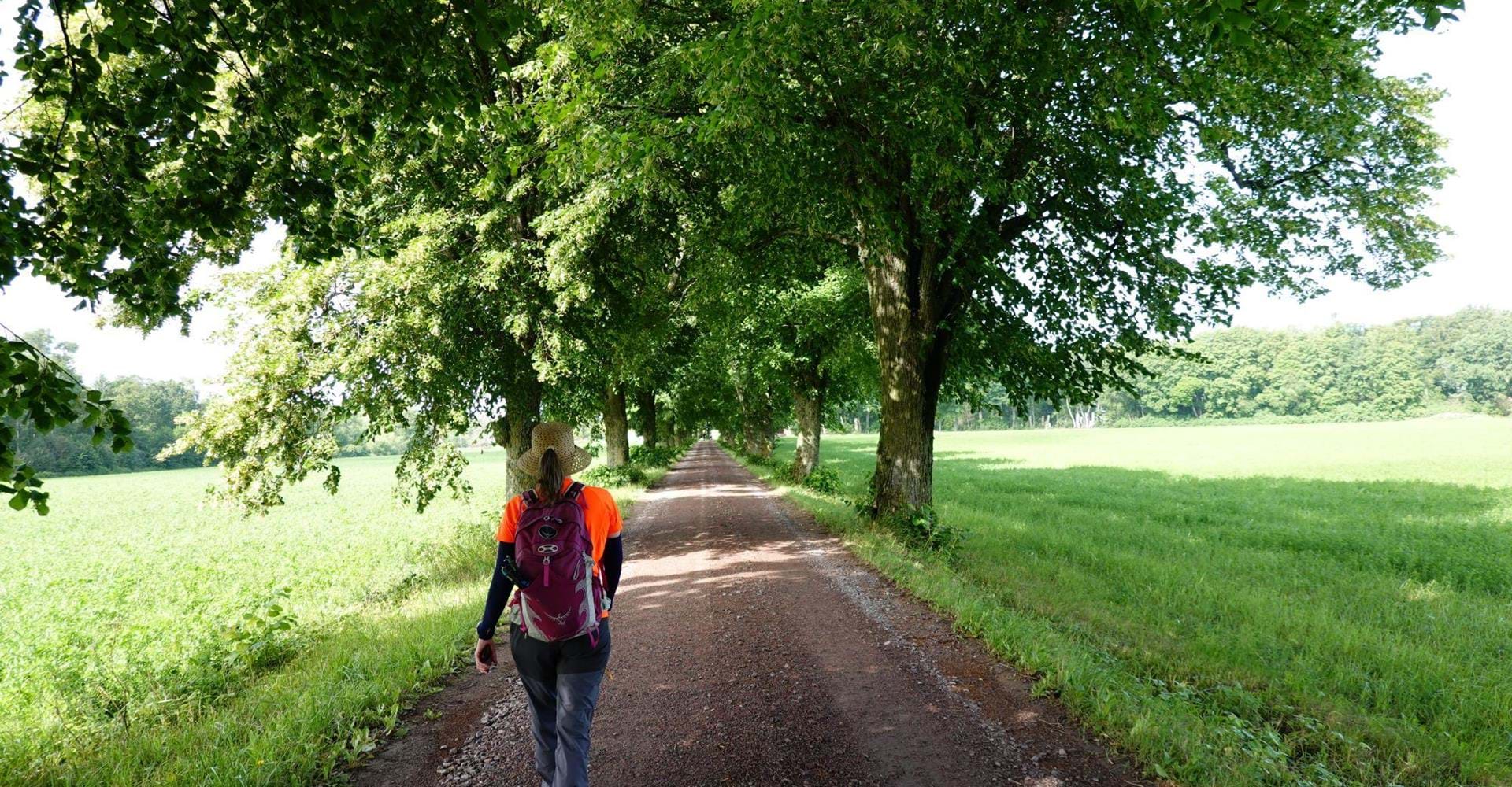 Orrnässlingan, Östgötaleden