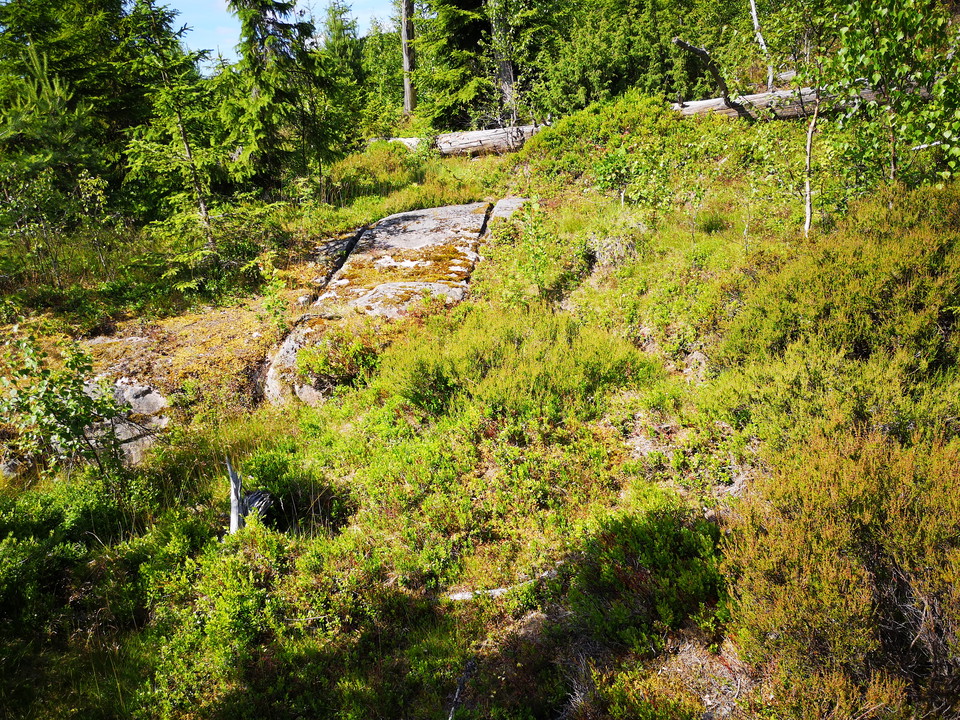 Hins kärrspår