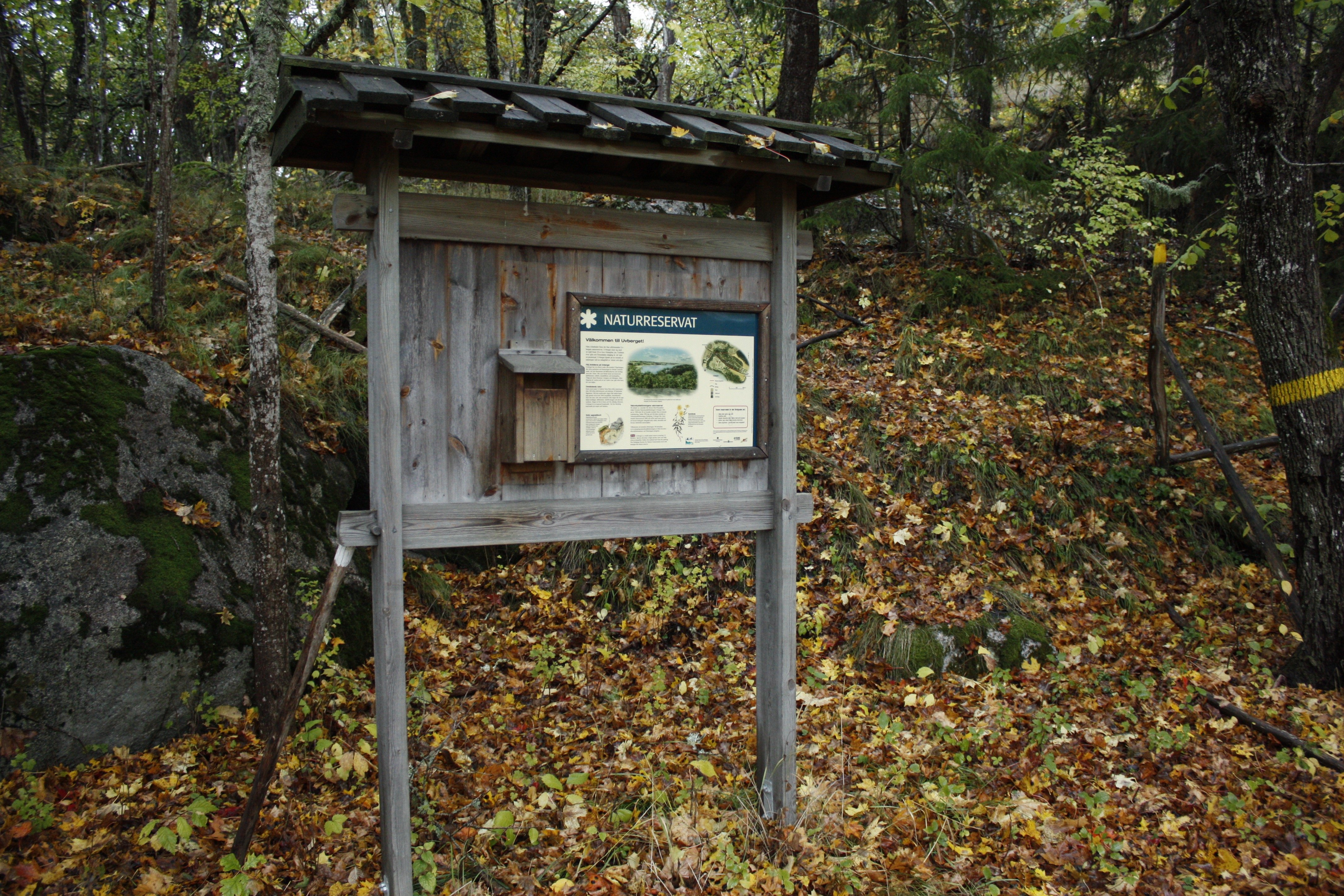 En informationstavla står i utkanten av en skog. På en trädstam finns en gul stigmarkering.