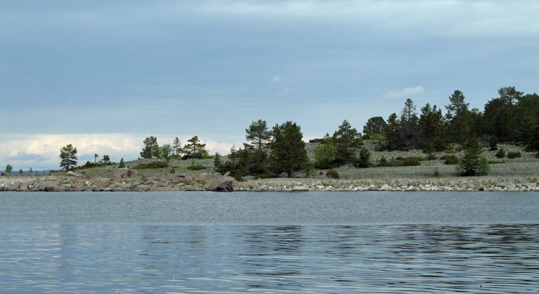På Vitörarna kan du se stora klapperstensfält med väl utvecklade strandvallar.