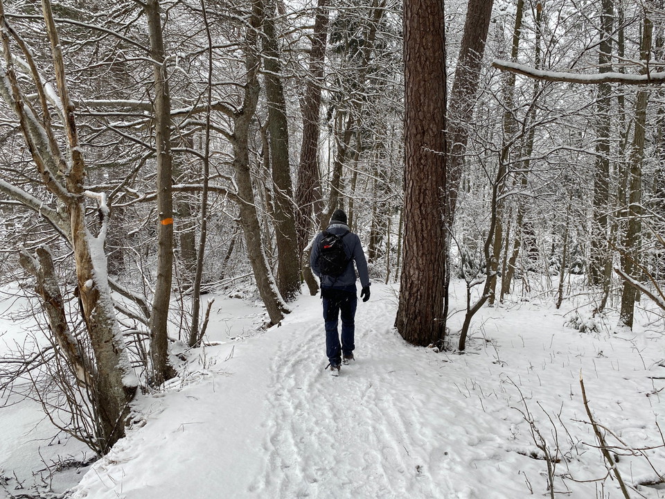 Leden utmed Gimo damm