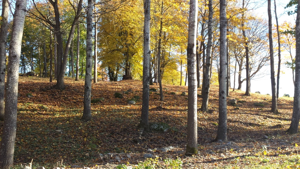 Glömsta gravfält.