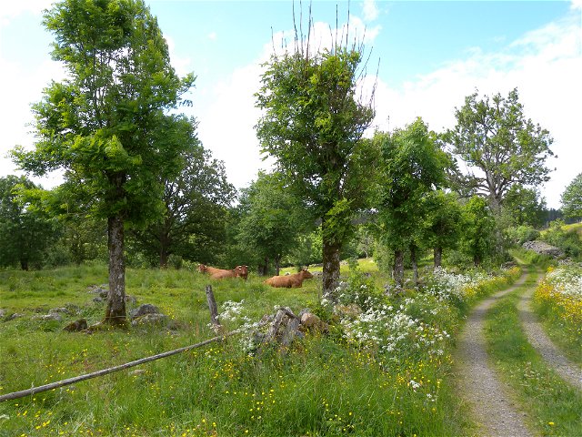 Yttra Berg, Naturreservat