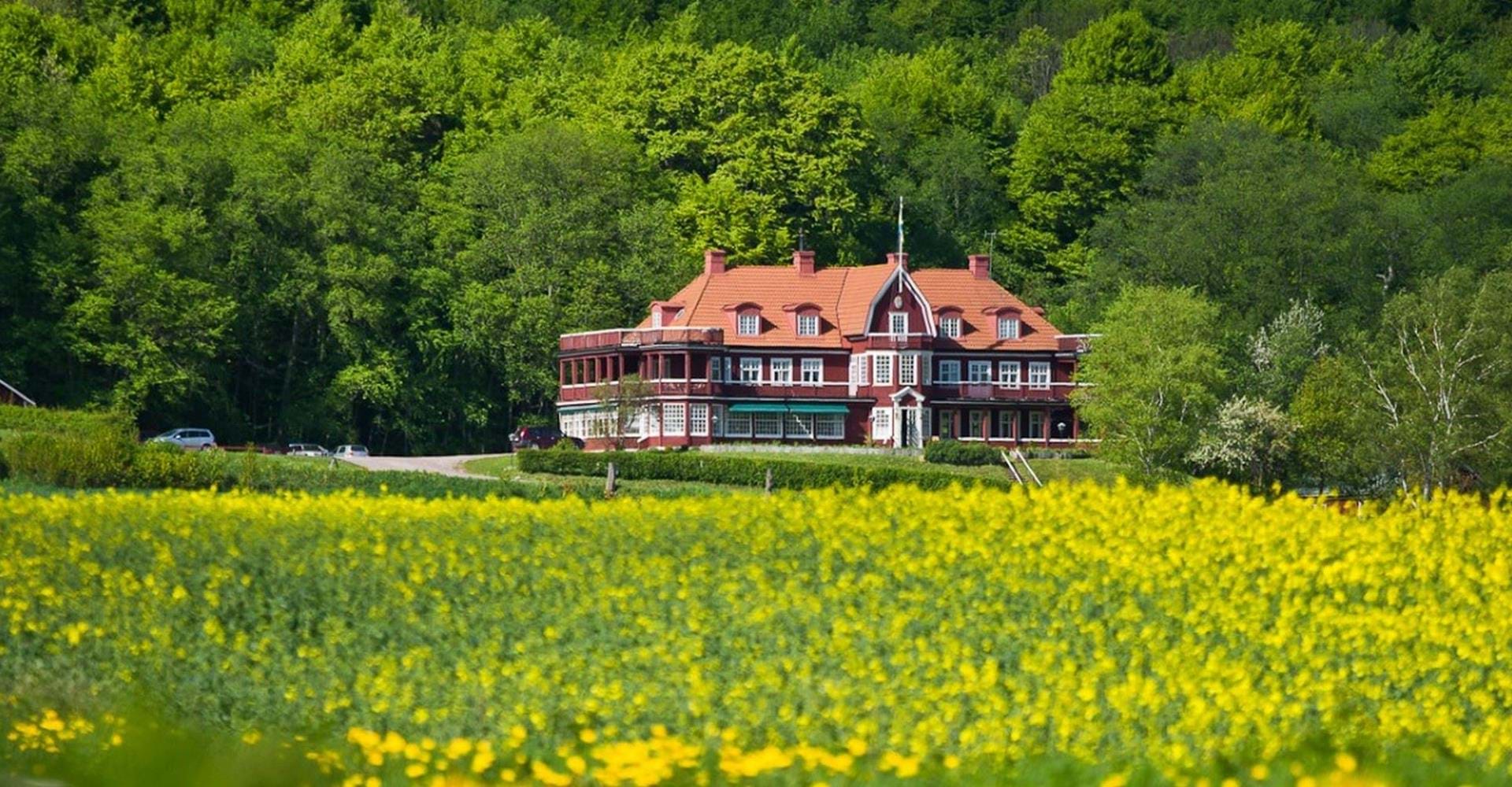 Etapp: Borghamn-Alvastra, Hästholmenrundan.Ödeshög.