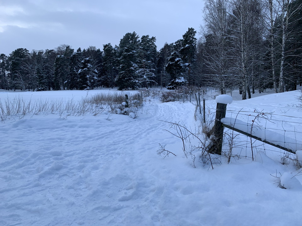 Rösaringsåsen är väl värt ett besök vintertid. 